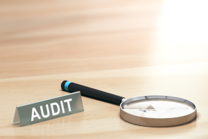 Auditcheckliste 300